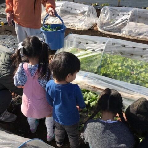 シェア畑 大泉学園