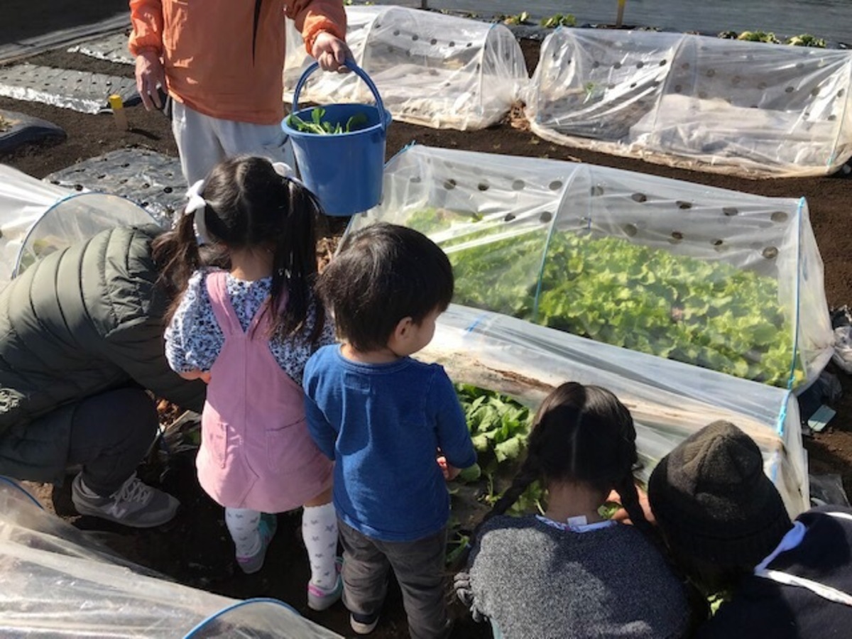 シェア畑 大泉学園