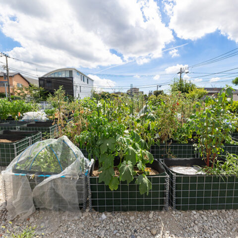 シェア畑　garden 下北沢