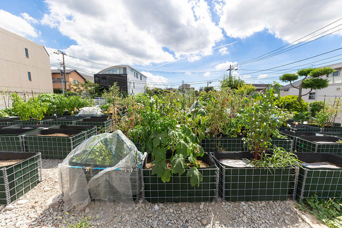 シェア畑　garden 下北沢