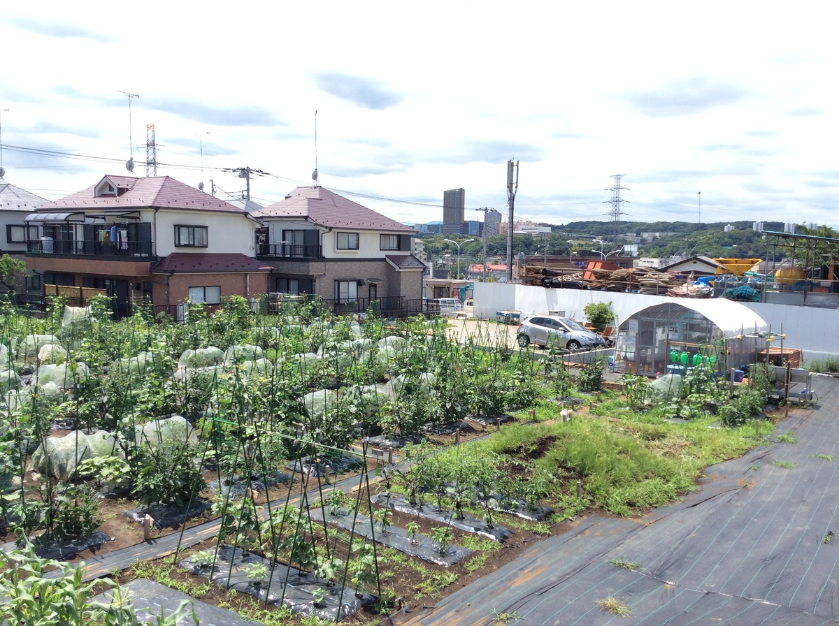 シェア畑　多摩落川