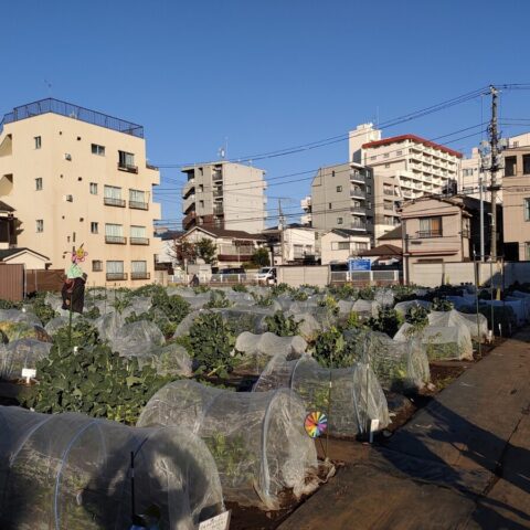 シェア畑　目黒本町