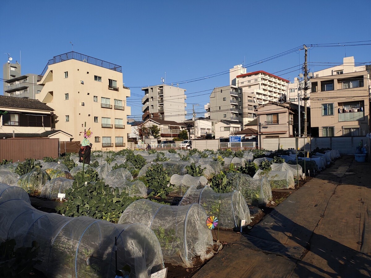 シェア畑　目黒本町