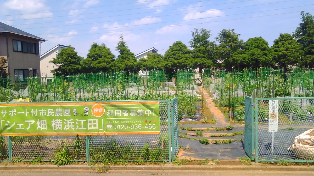 シェア畑　横浜江田