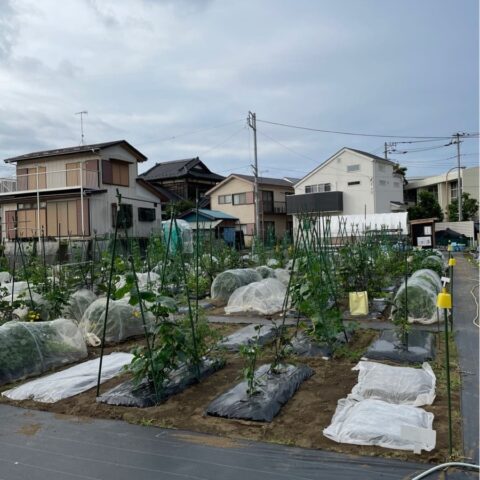 シェア畑　湘南辻堂