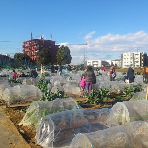 シェア畑　横浜高田