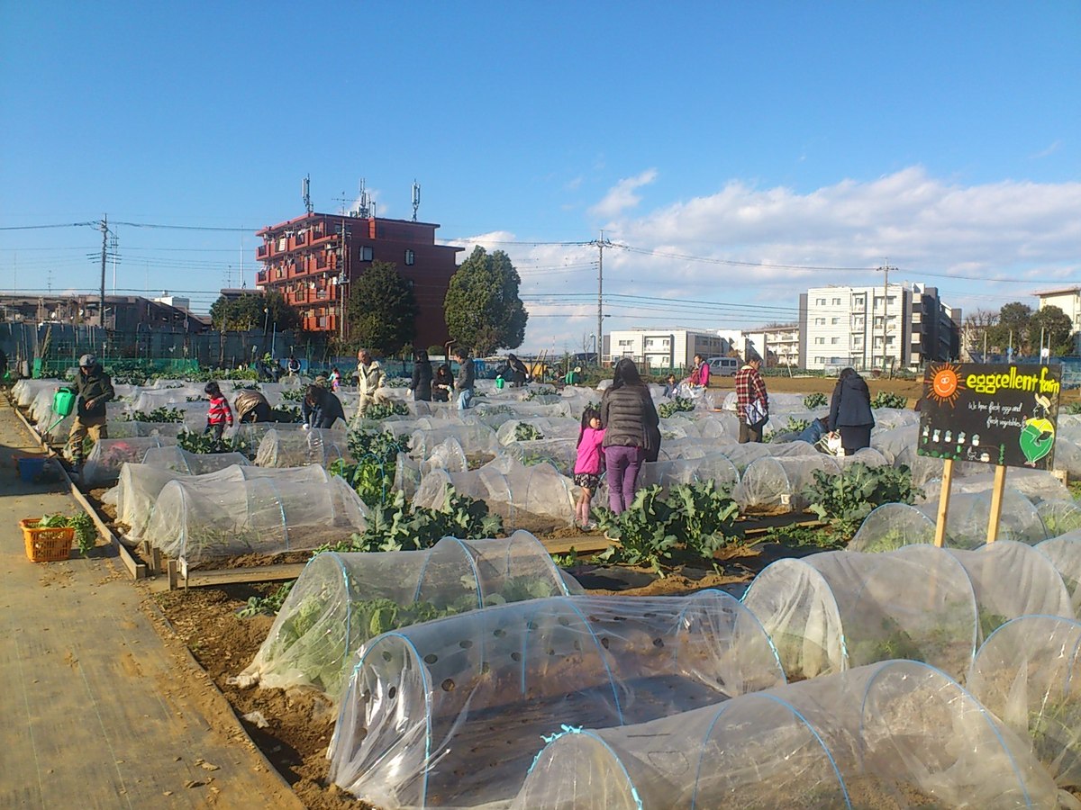 シェア畑　横浜高田