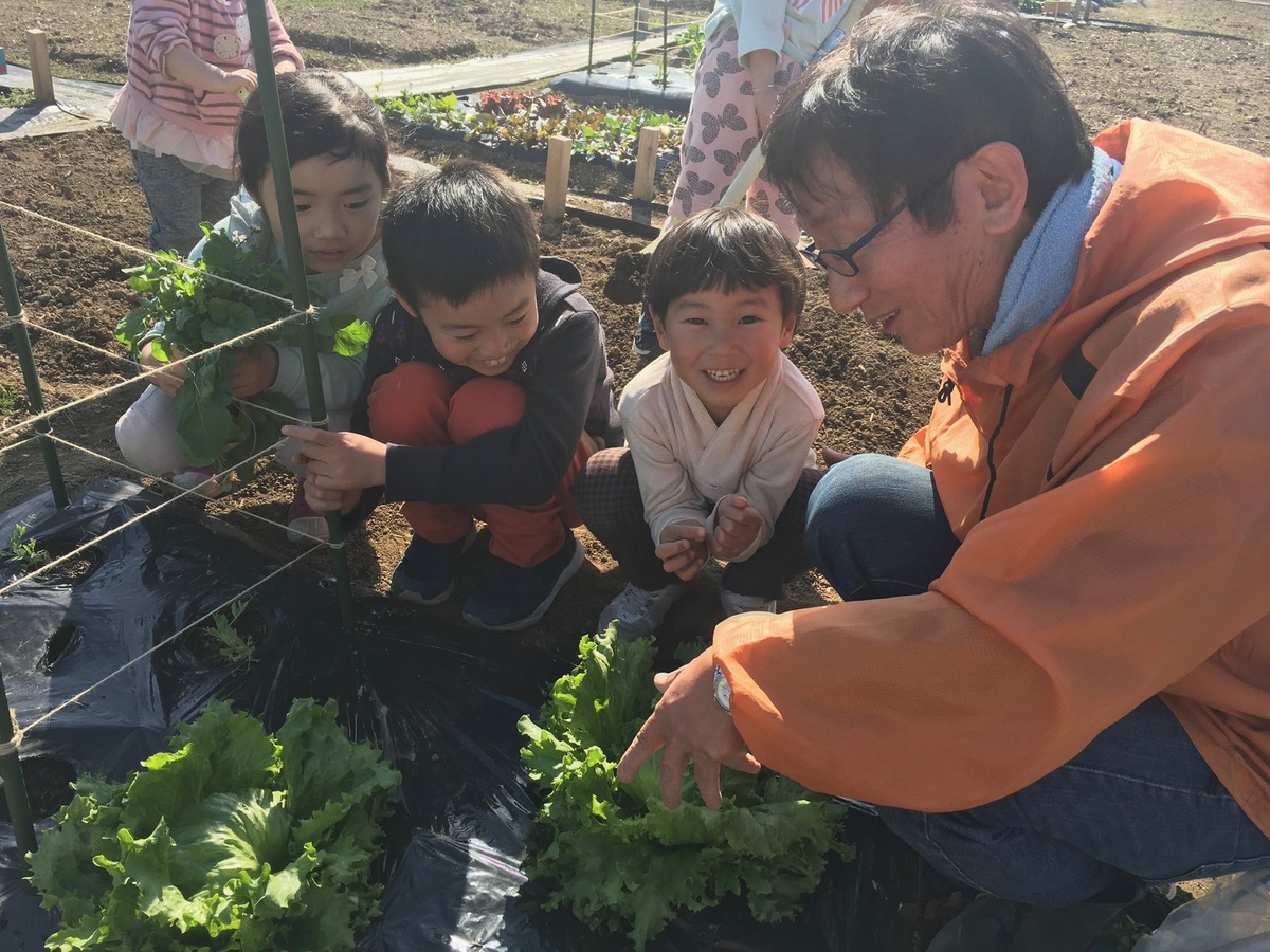 シェア畑　新小岩