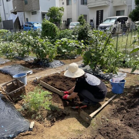 シェア畑　世田谷喜多見