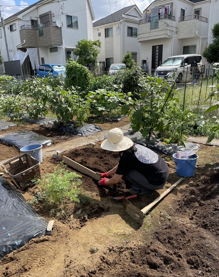 シェア畑　世田谷喜多見