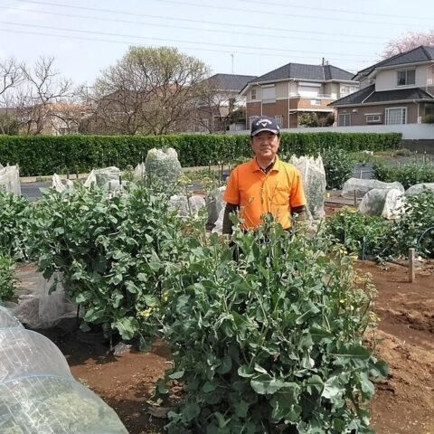 シェア畑　八千代中央