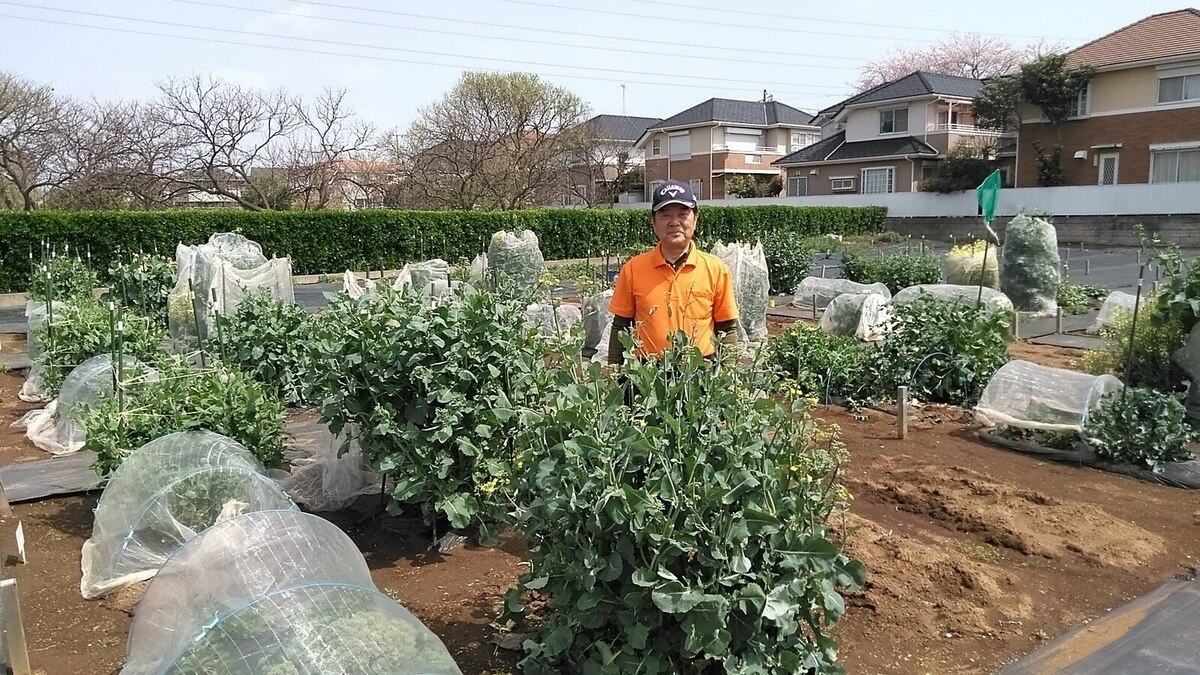 シェア畑　八千代中央