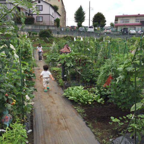 シェア畑　東有馬