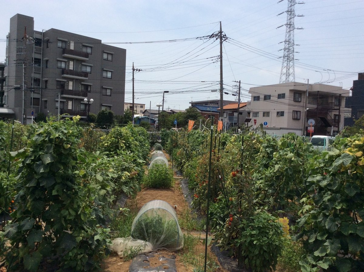 シェア畑　武蔵中原