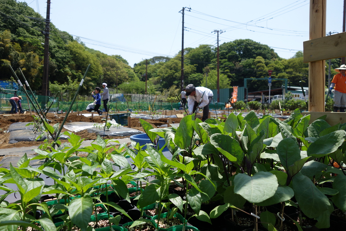 シェア畑　横浜鶴見