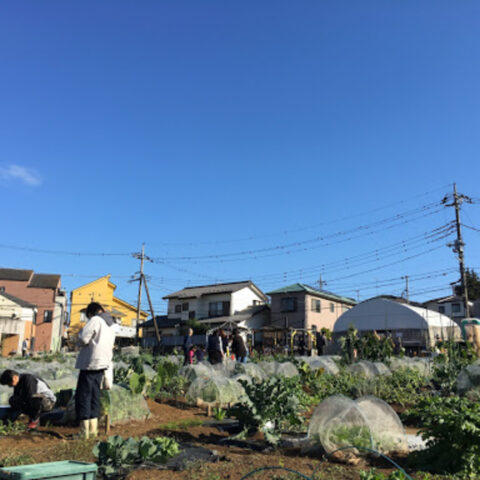 シェア畑　 宮前平