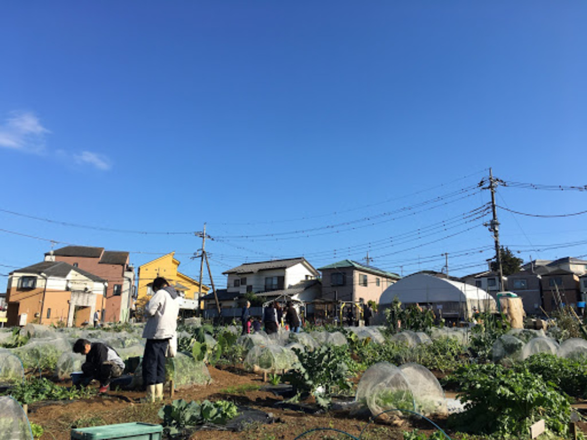 シェア畑　 宮前平