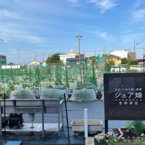 シェア畑　吉祥寺北