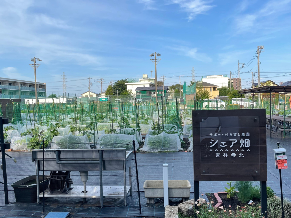 シェア畑　吉祥寺北