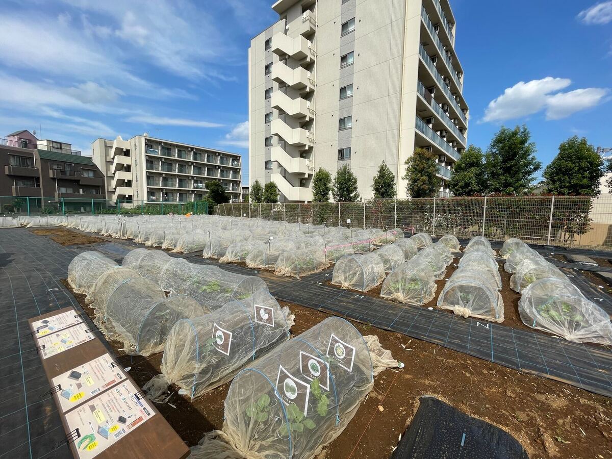 シェア畑　経堂